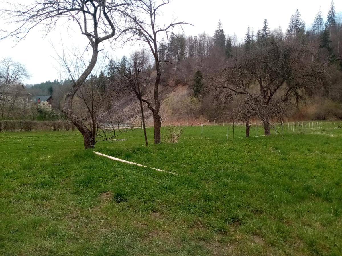 Садиба Федорчуків За Рікою Sesori Kültér fotó