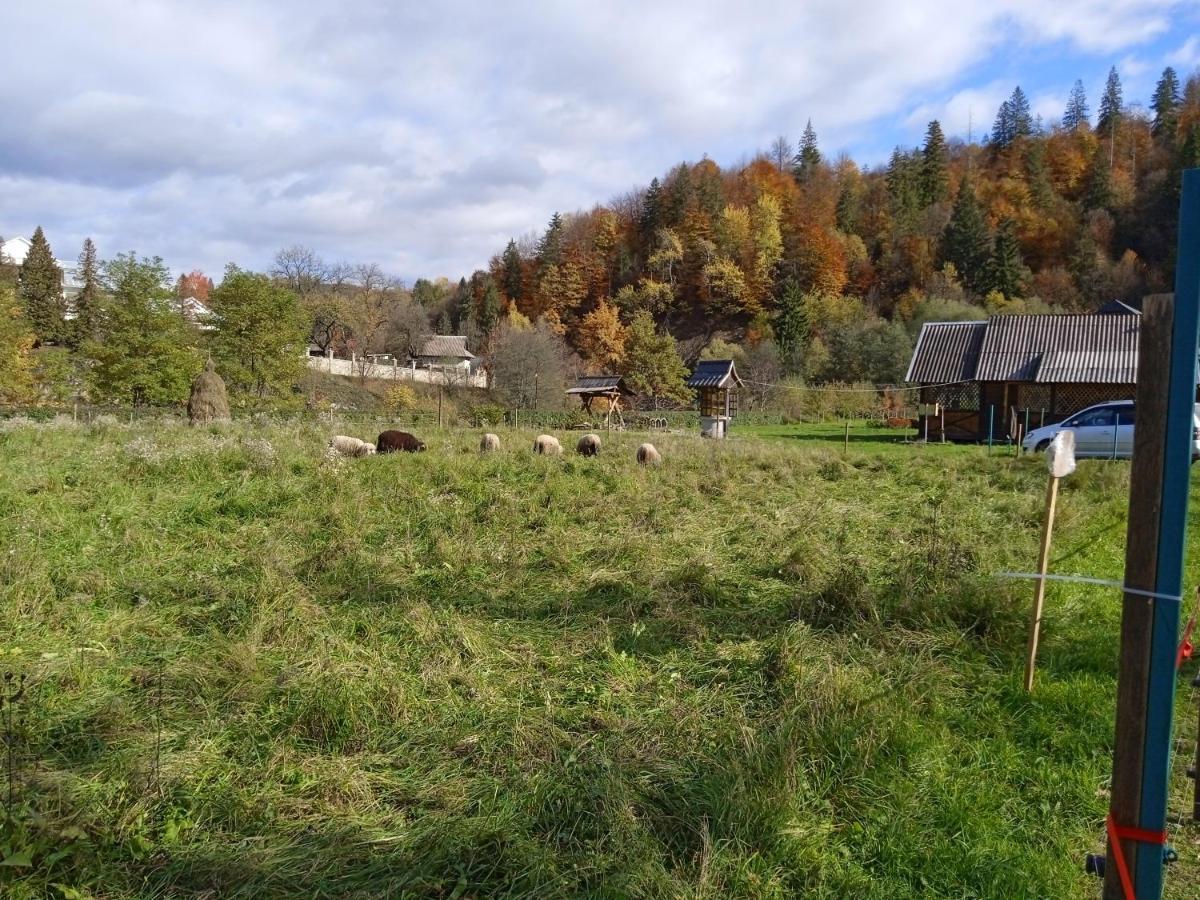 Садиба Федорчуків За Рікою Sesori Kültér fotó